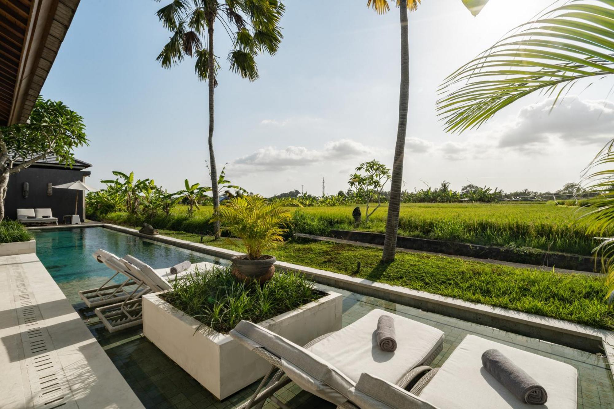 Villa Mimpi By Balisuperhost ウブド エクステリア 写真